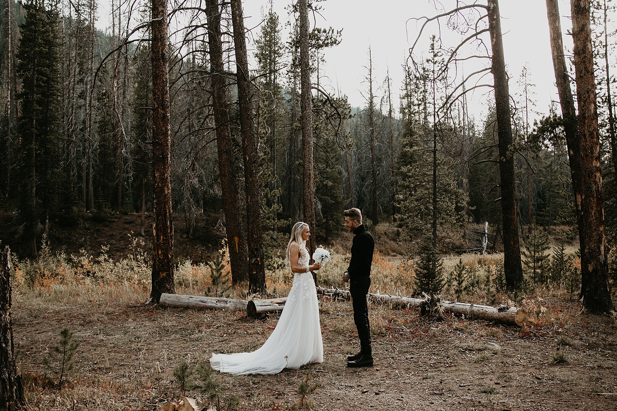 Colorado Elopement