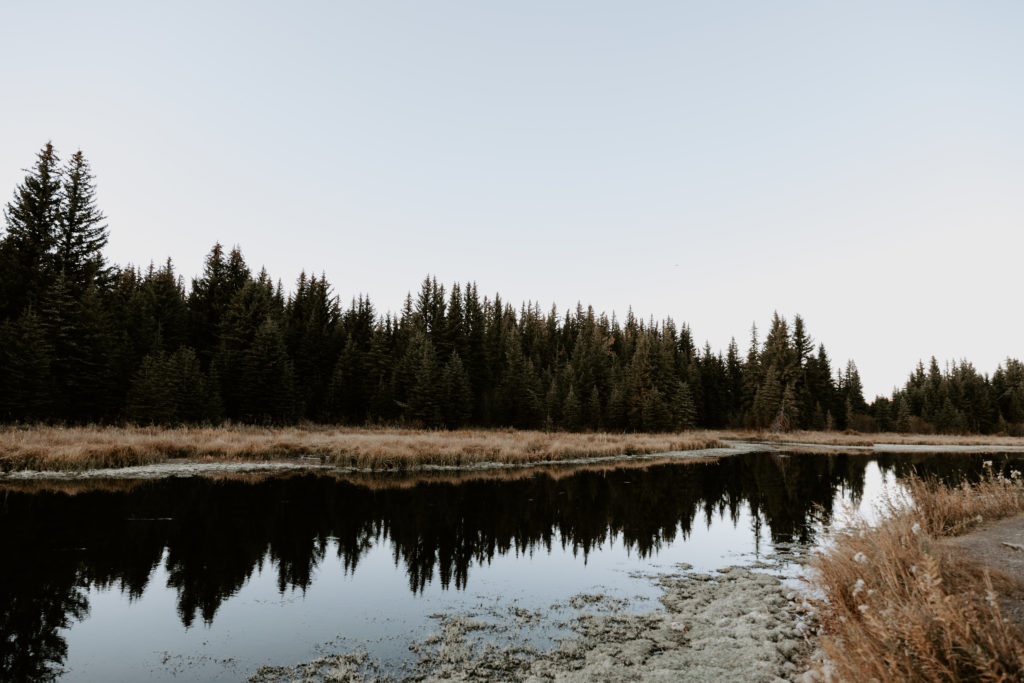 grand teton national park landscape