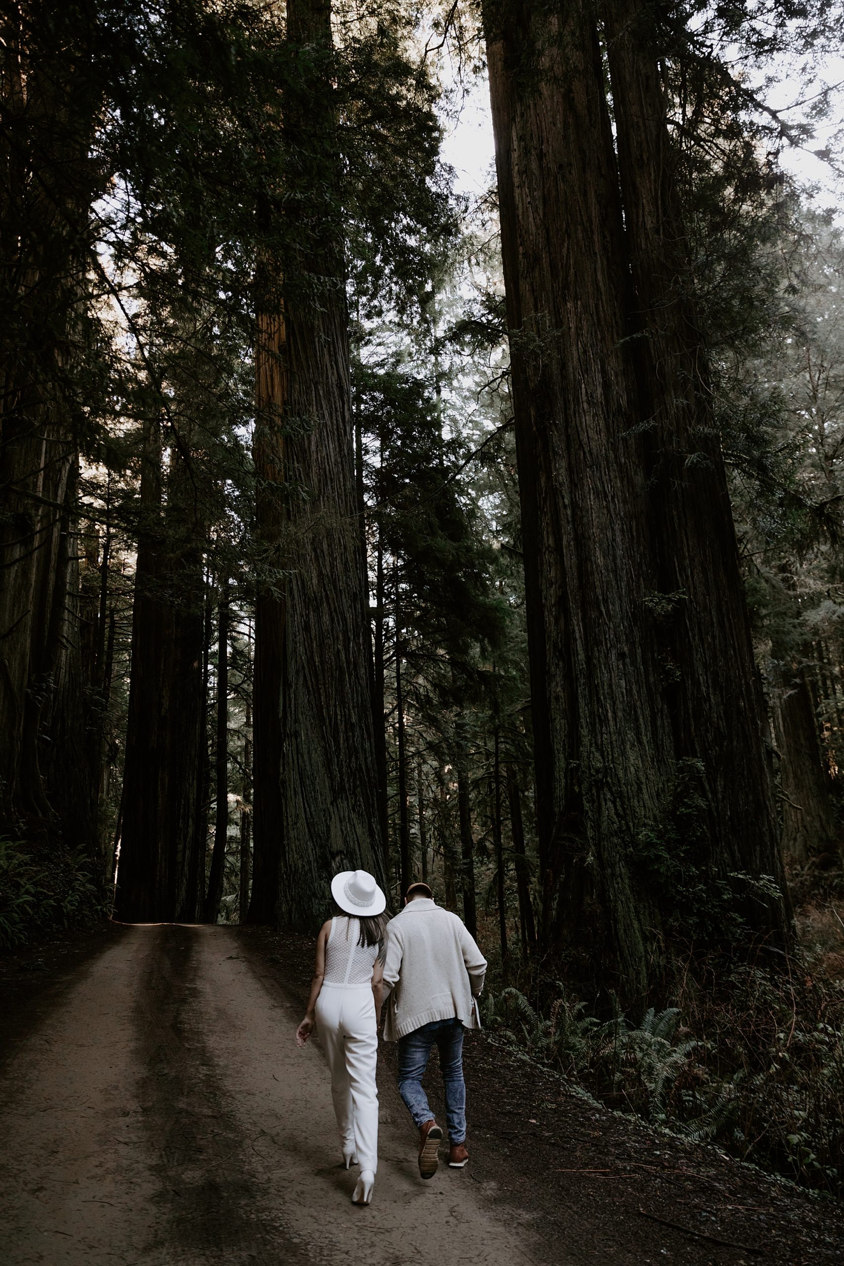 California Redwoods Elopement