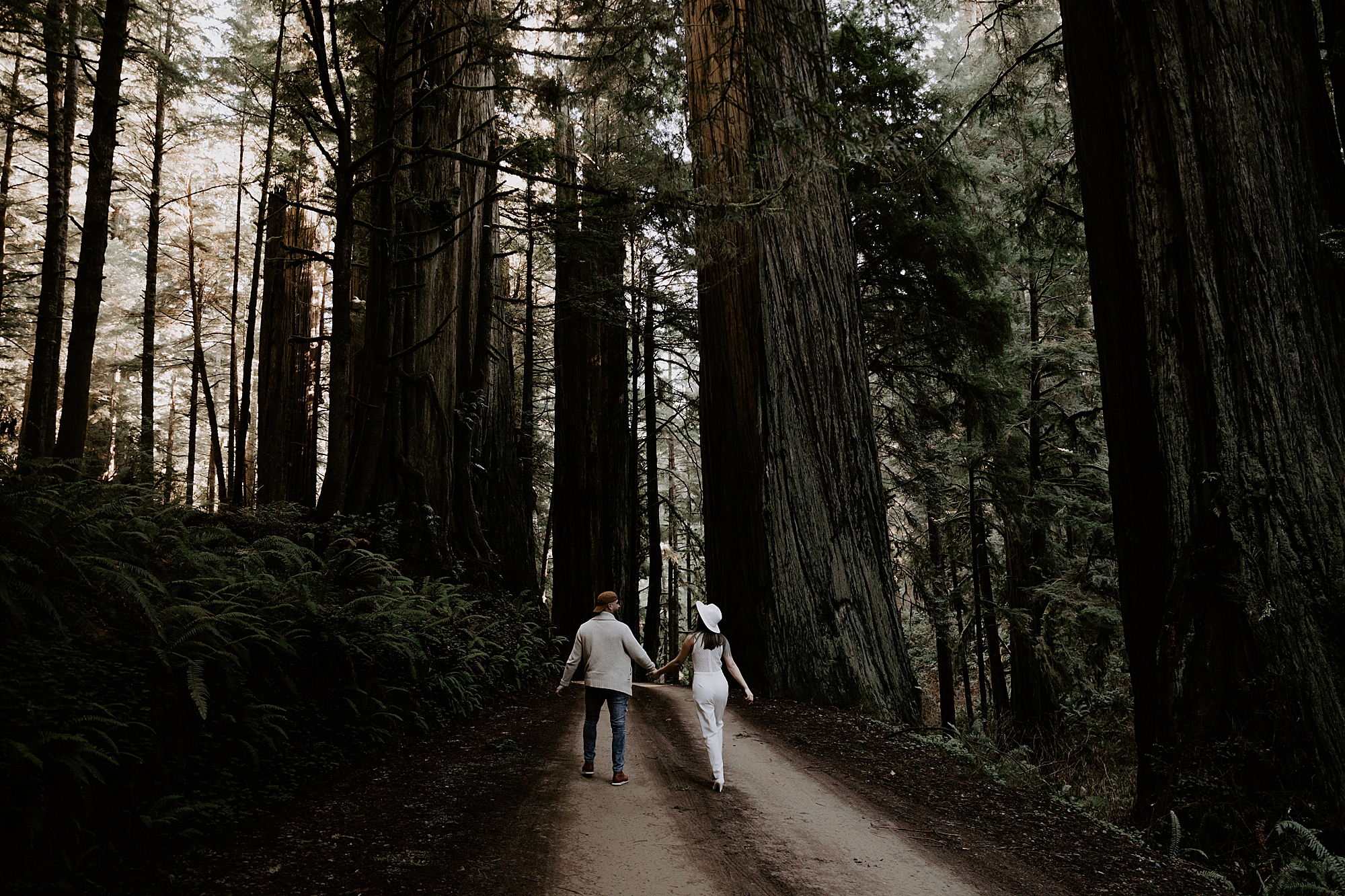 California Redwoods Elopement