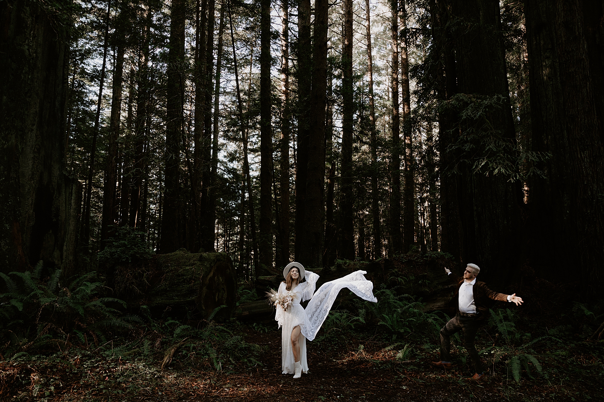 Redwood National Park