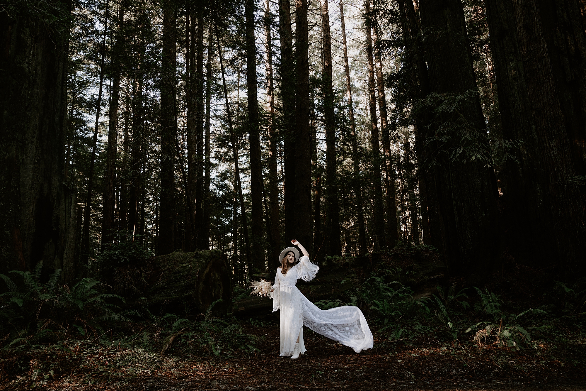 Redwood National Park