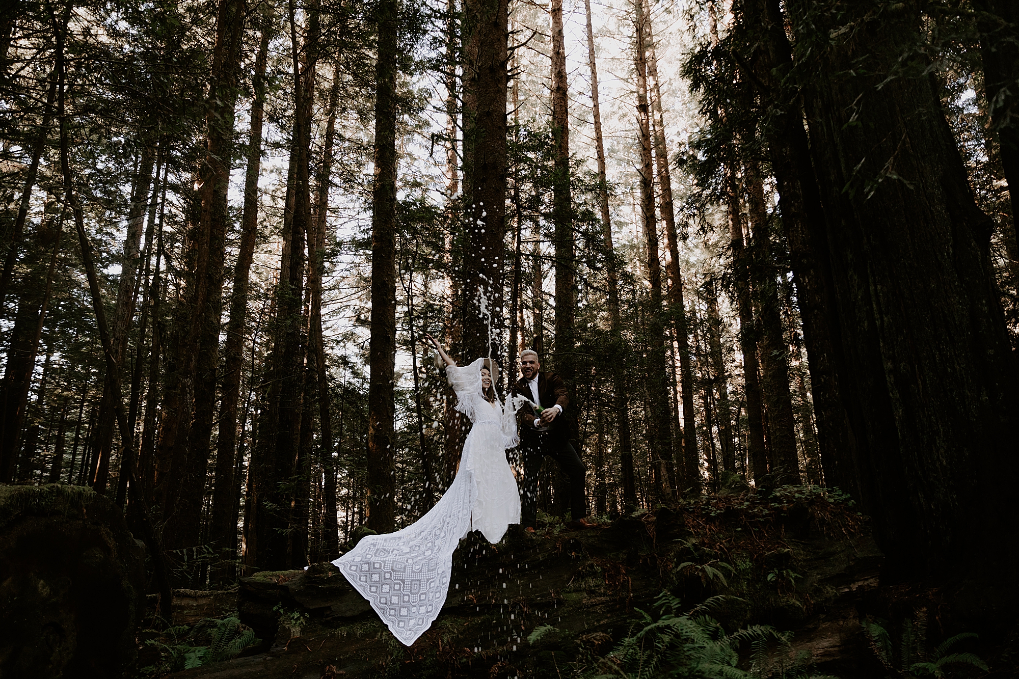 Redwood National Park