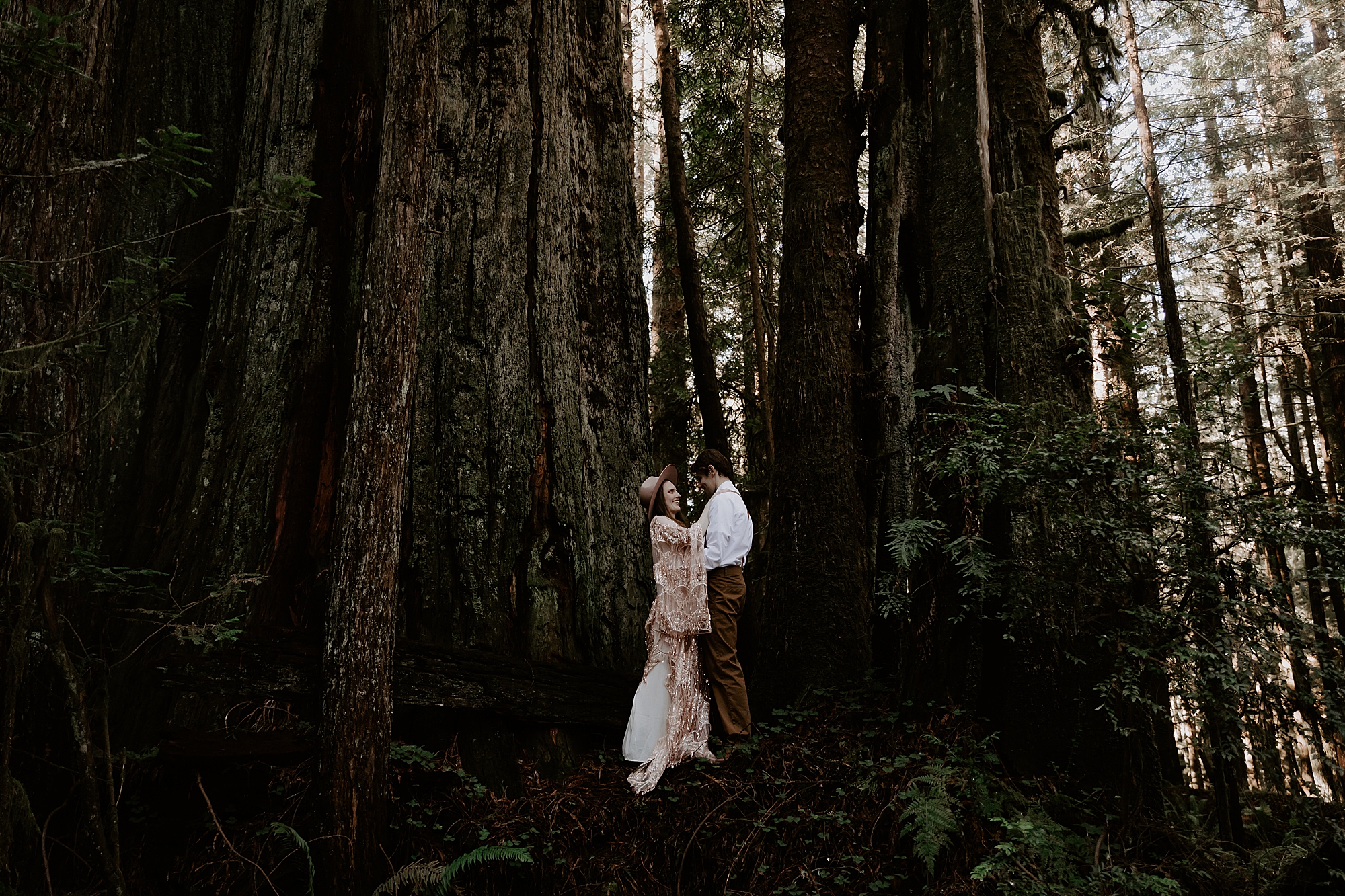 Redwood National Park