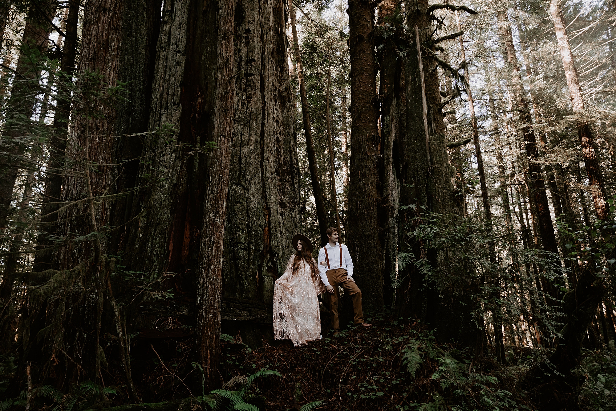 Redwood National Park