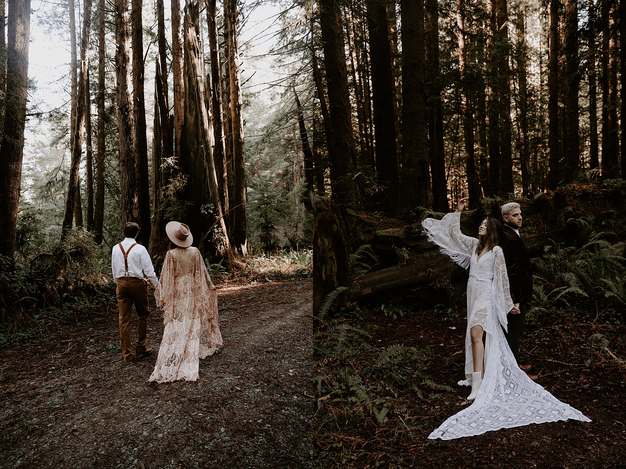 Redwood National Park