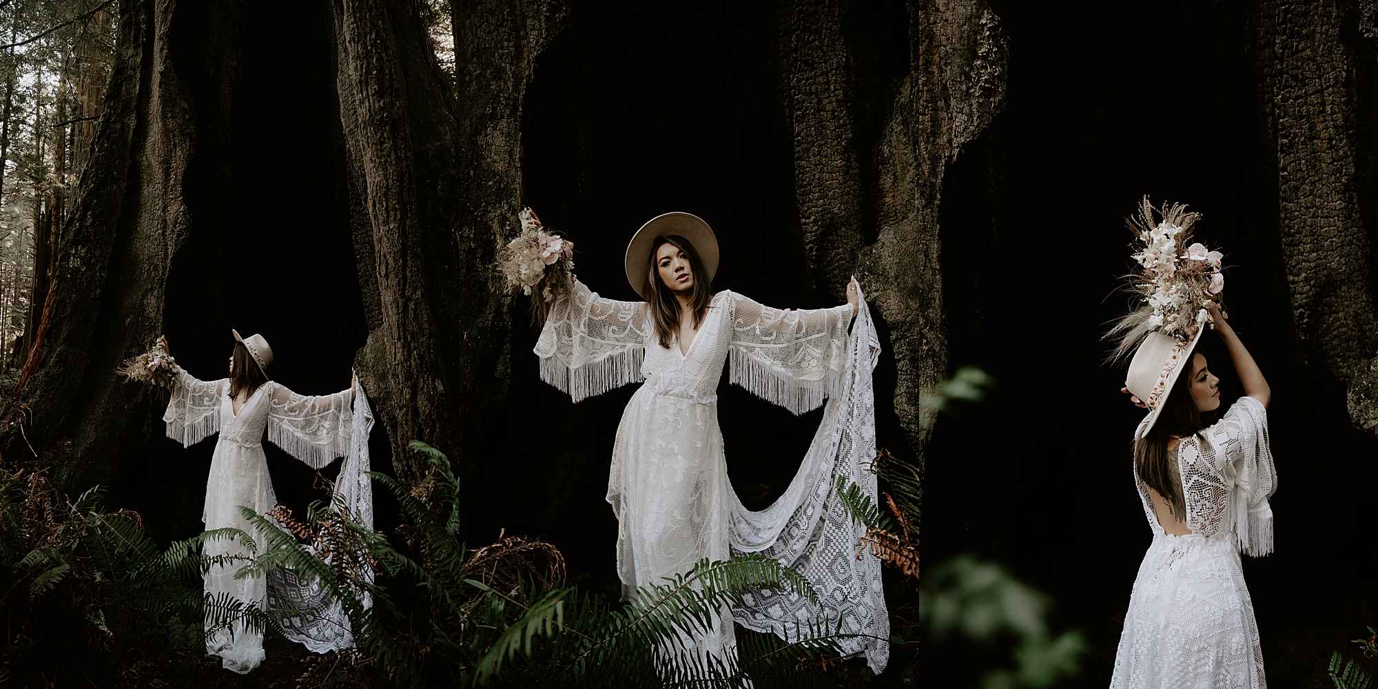 Redwood National Park