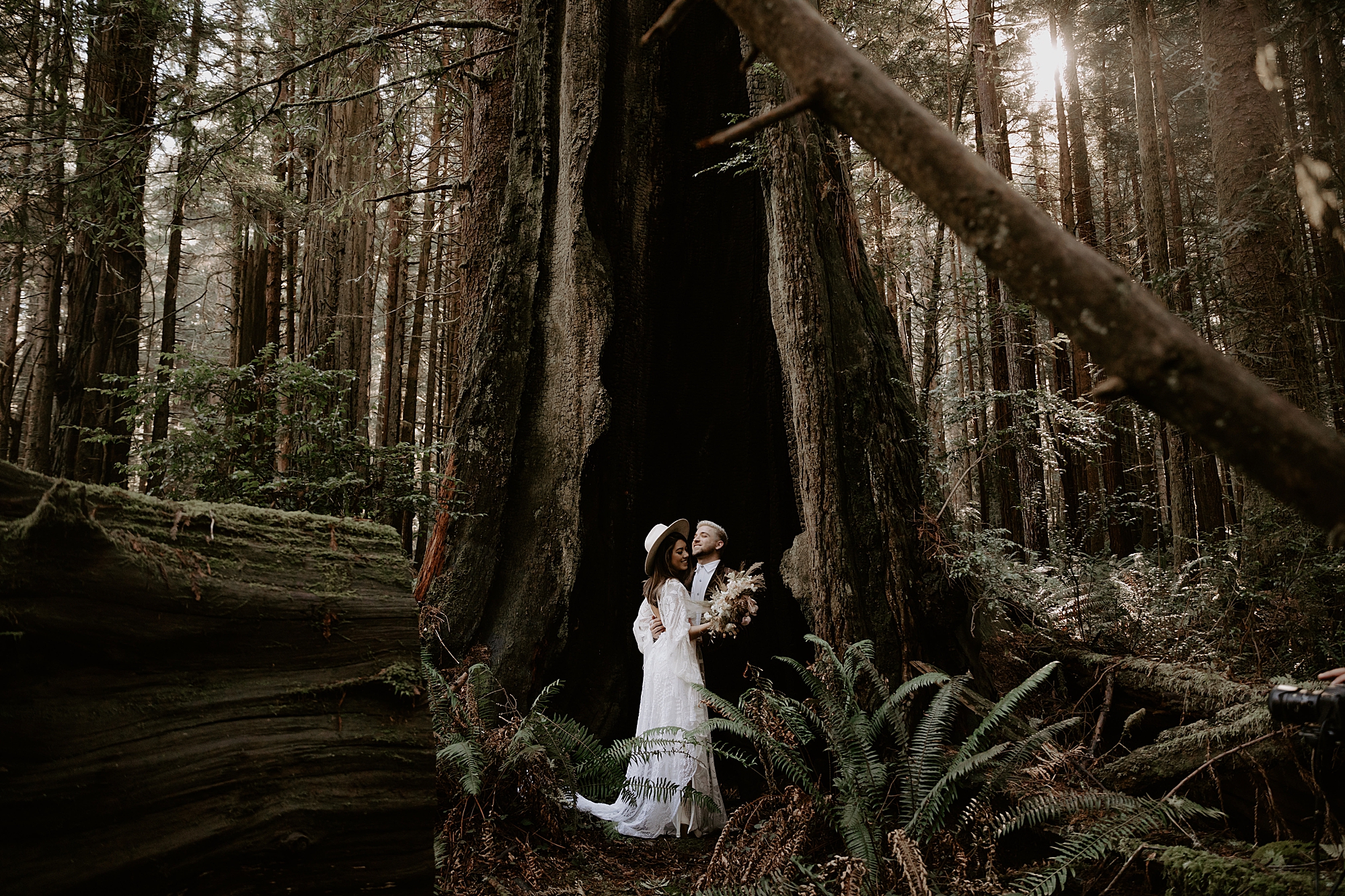 Redwood National Park