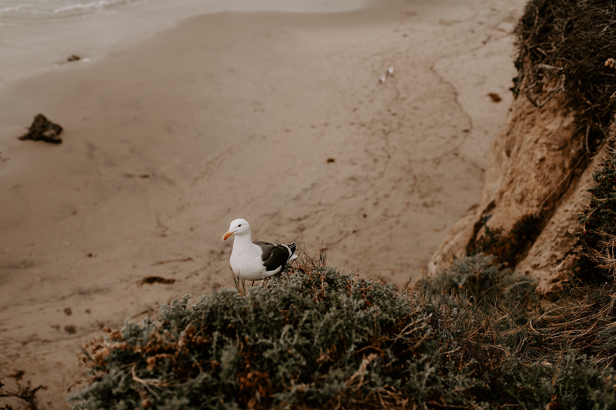 best beaches in Malibu