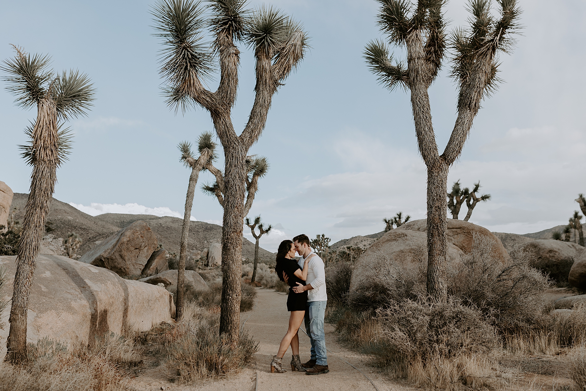 Joshua Tree photography