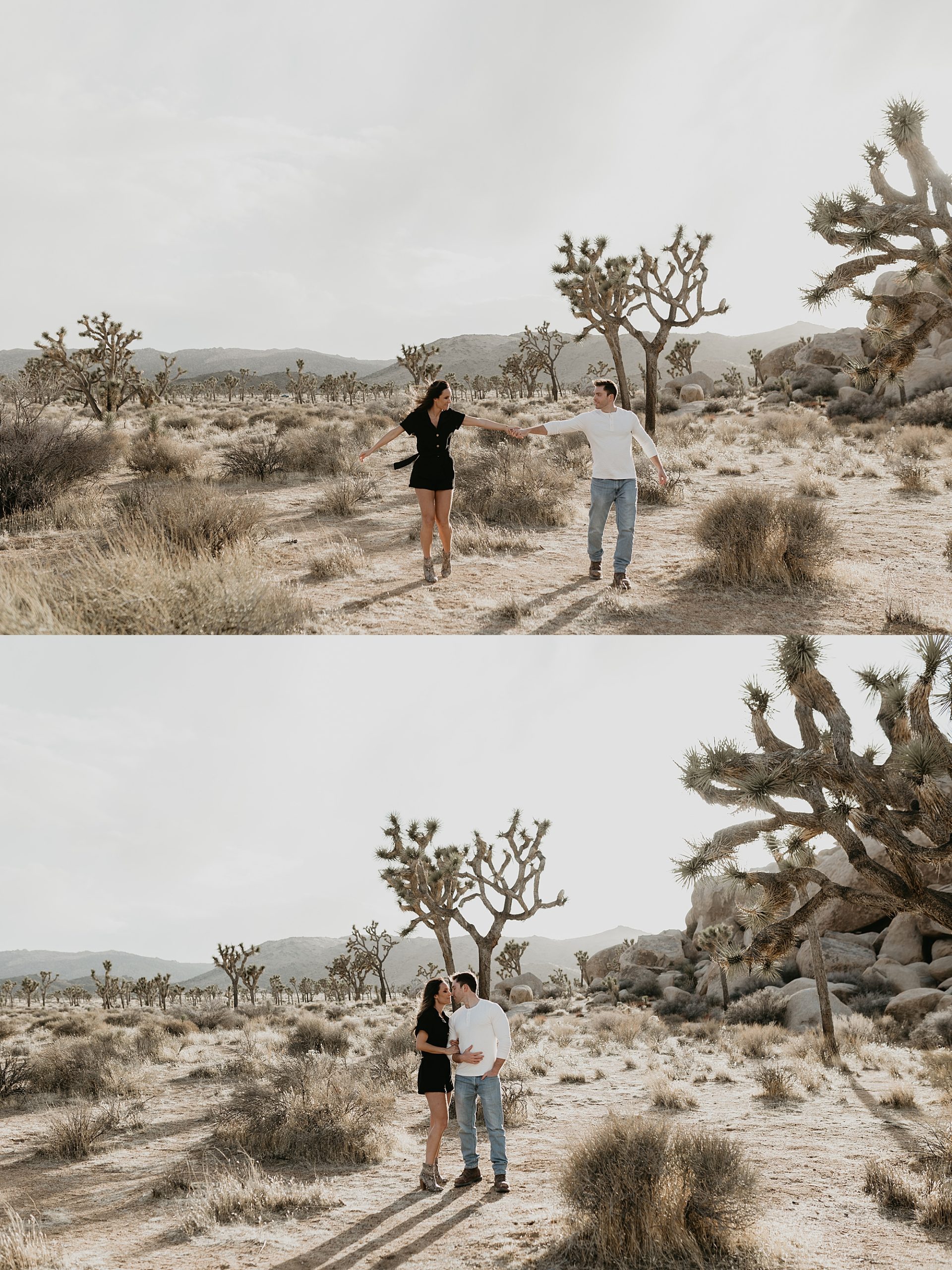Joshua Tree Photography