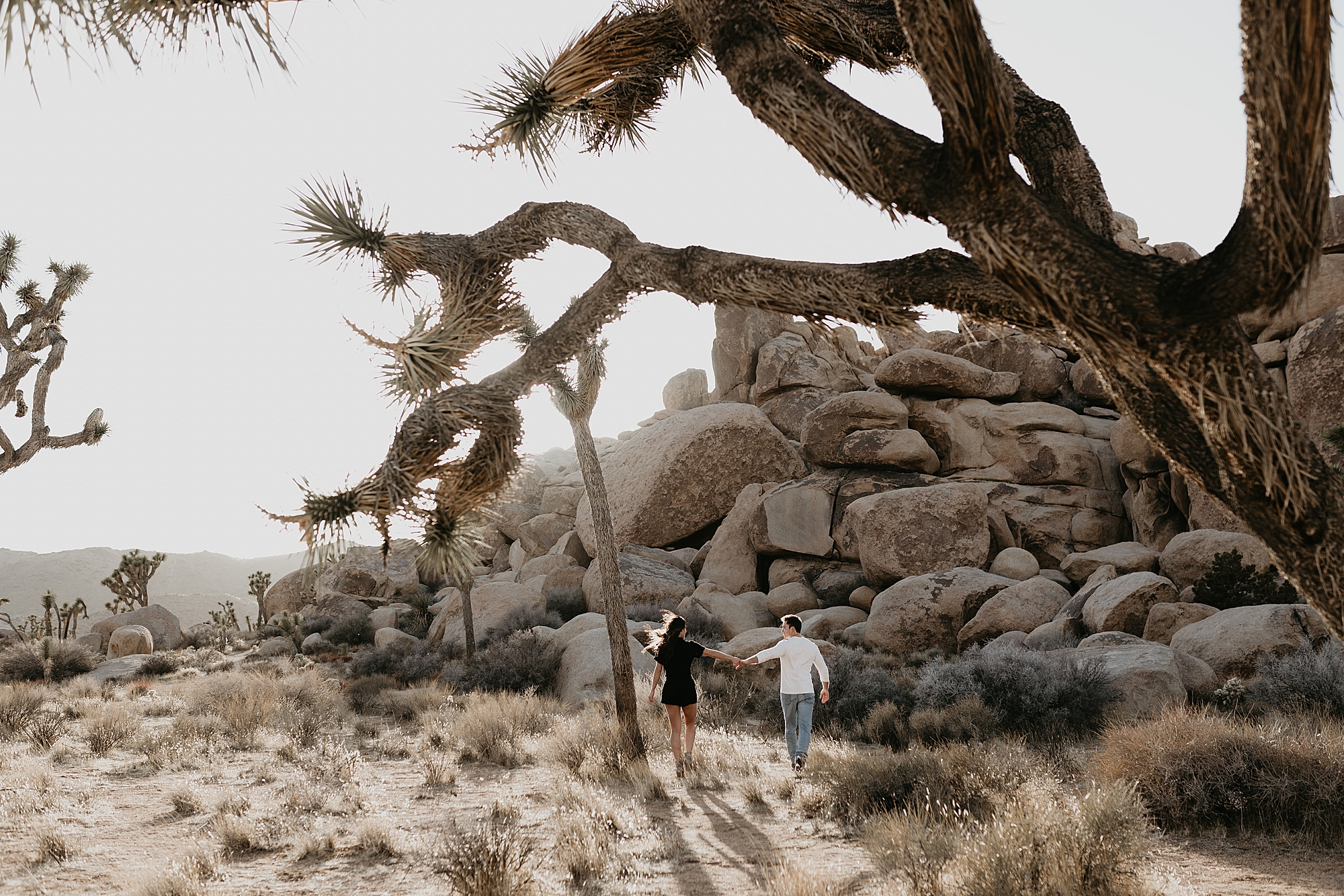 Joshua Tree Photography