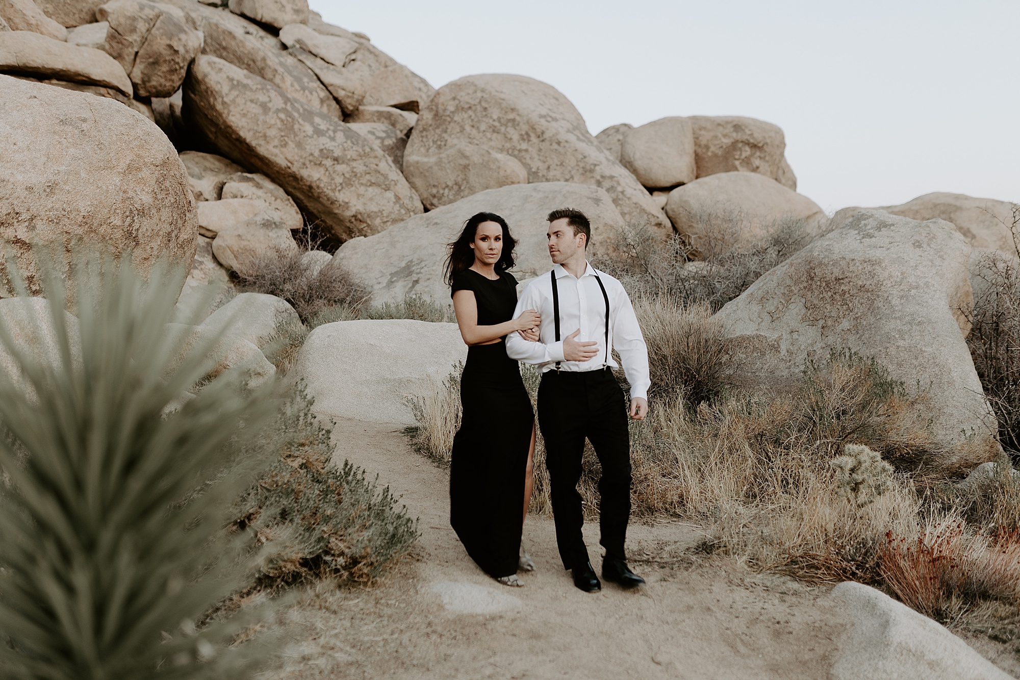 Joshua Tree Photography