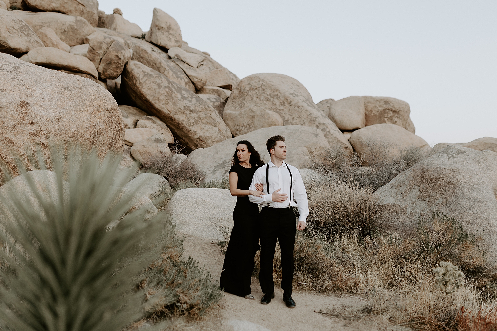 Joshua Tree Photography