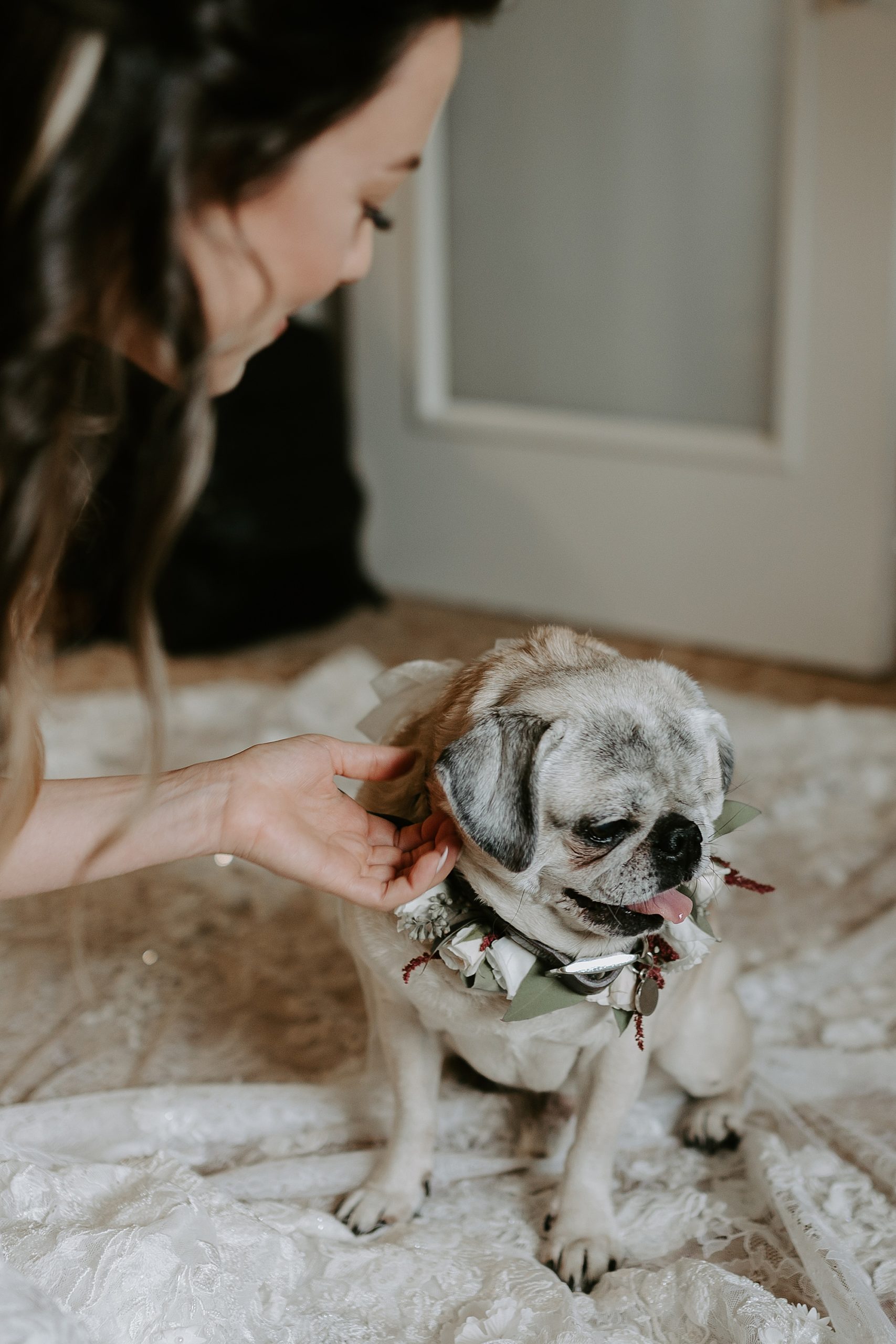 Mariah Treiber Photography