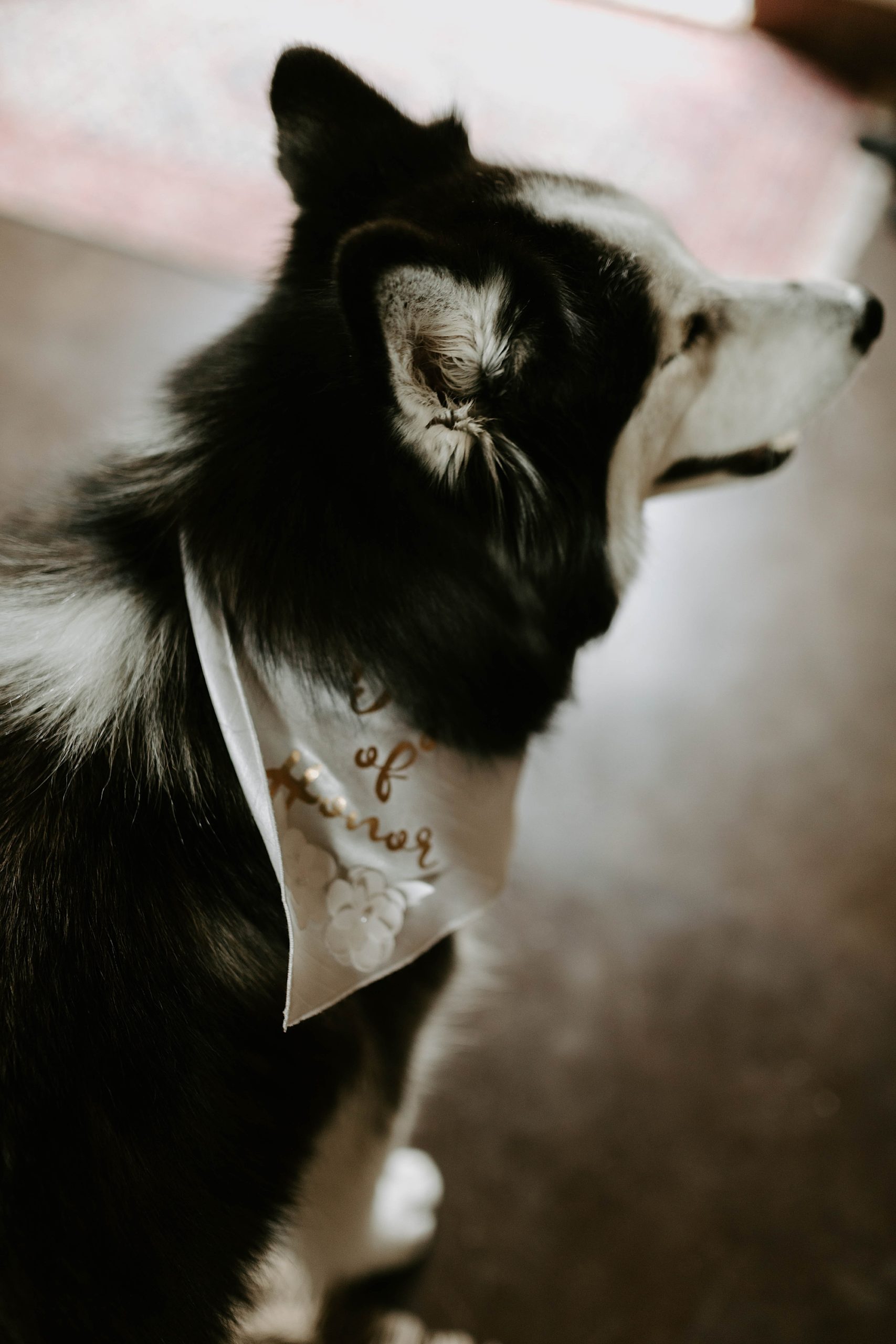 Mariah Treiber Photography