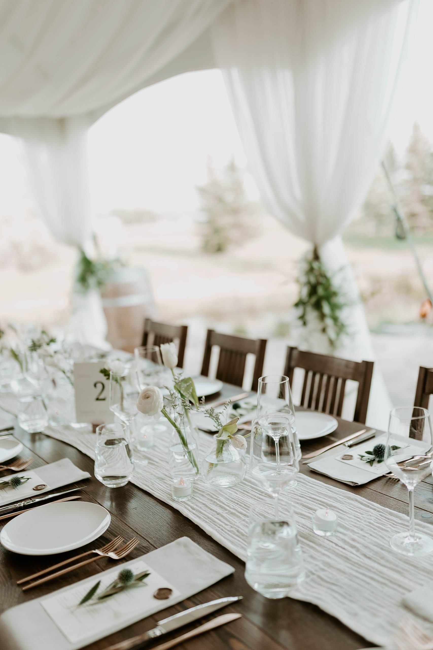 Jackson Hole Winery Wedding