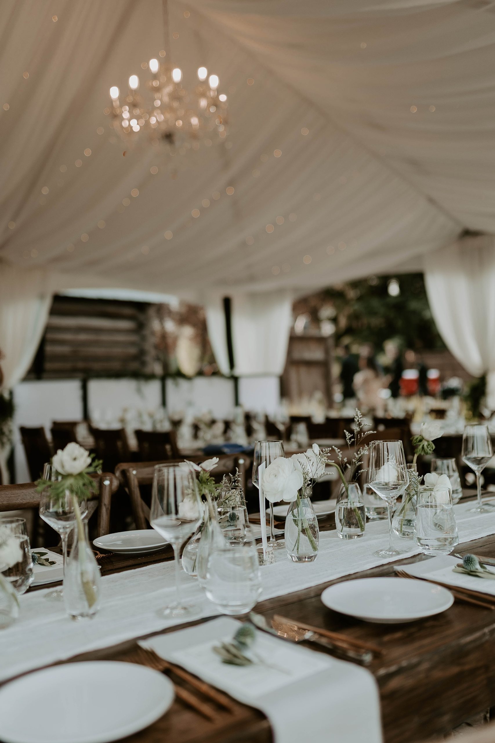 Jackson Hole Winery Wedding