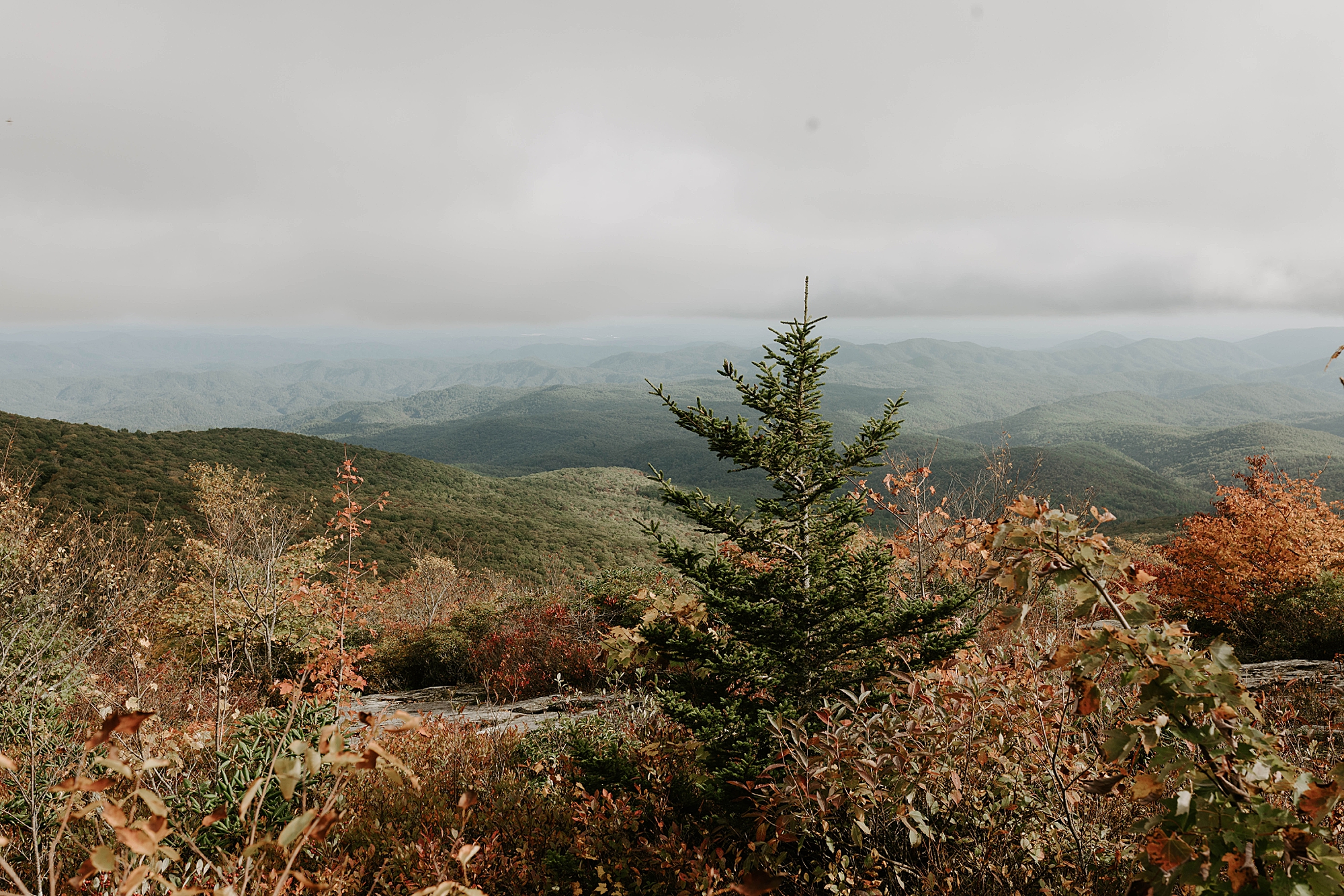 winter engagement photos, Mariah Treiber Photography, Asheville + Boone NC engagement locations
