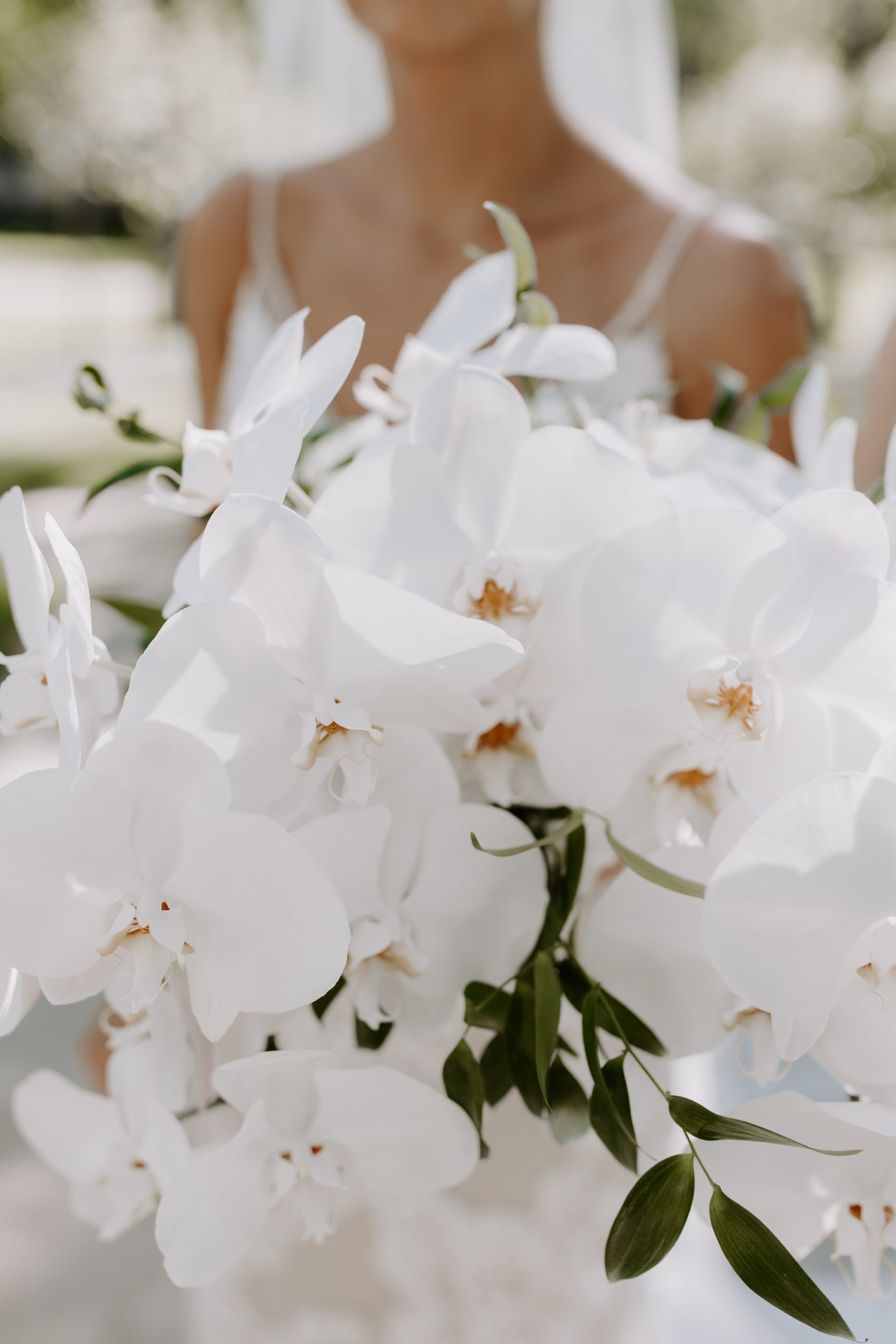 orchid wedding bouquet