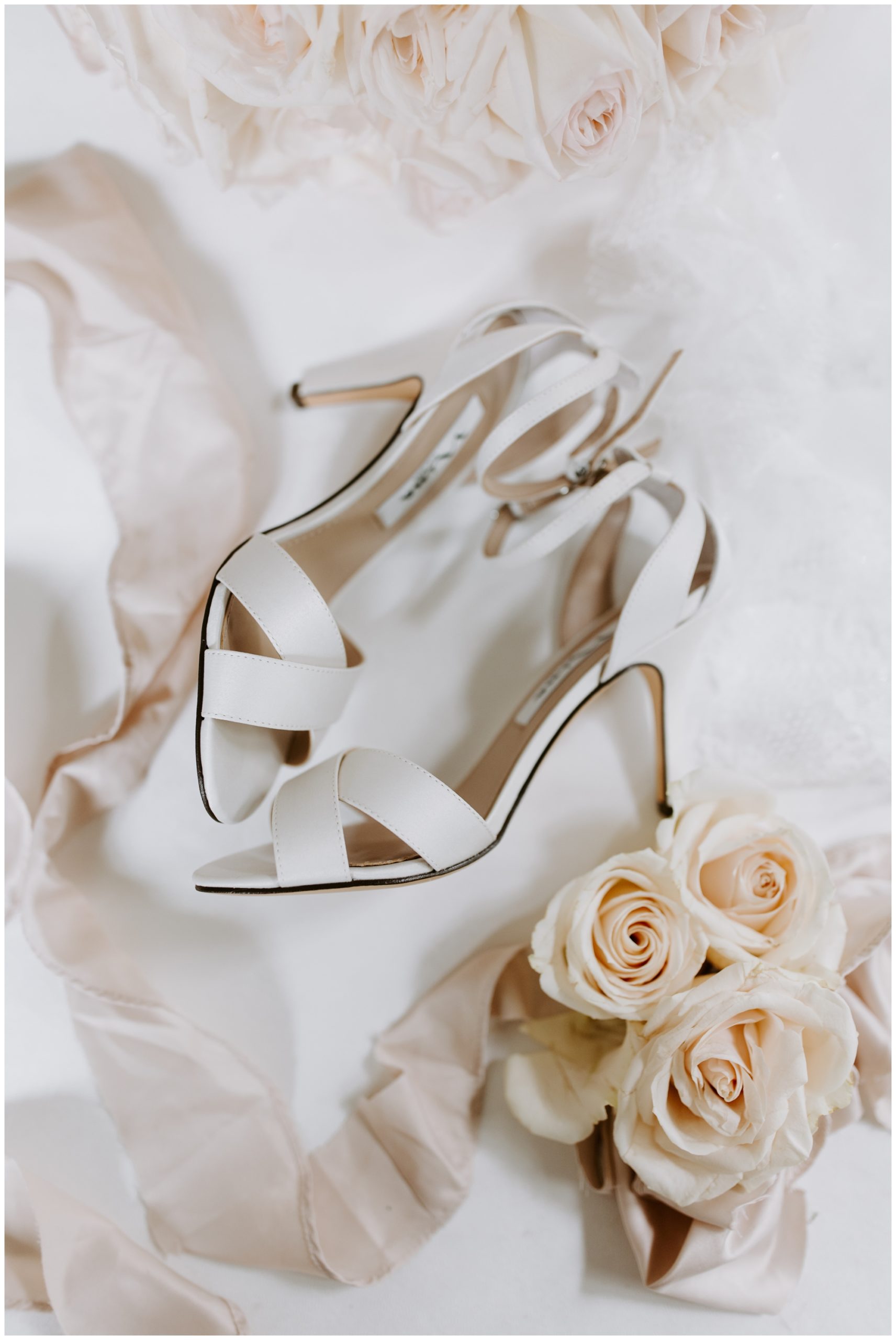 Mariah Treiber Photography