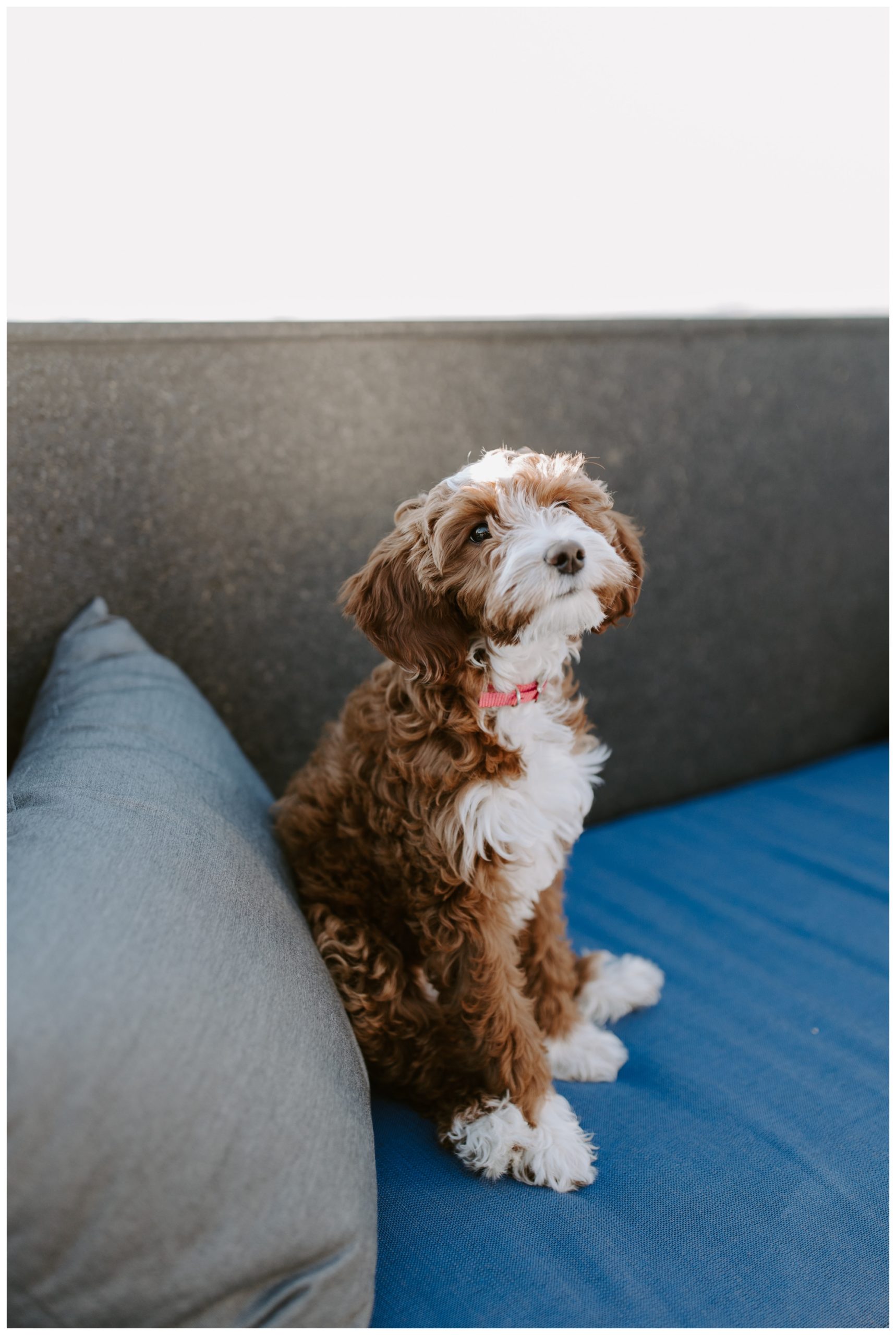 Washington DC photographer