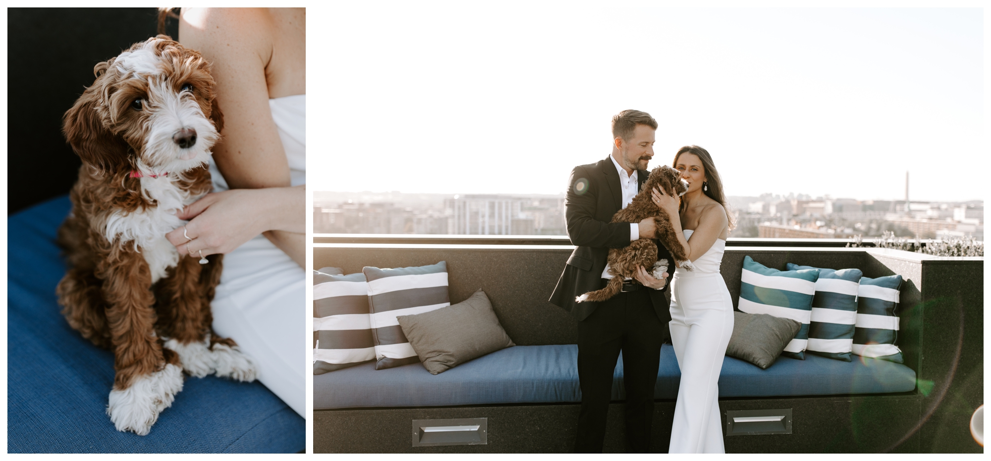 engagement photos with dog