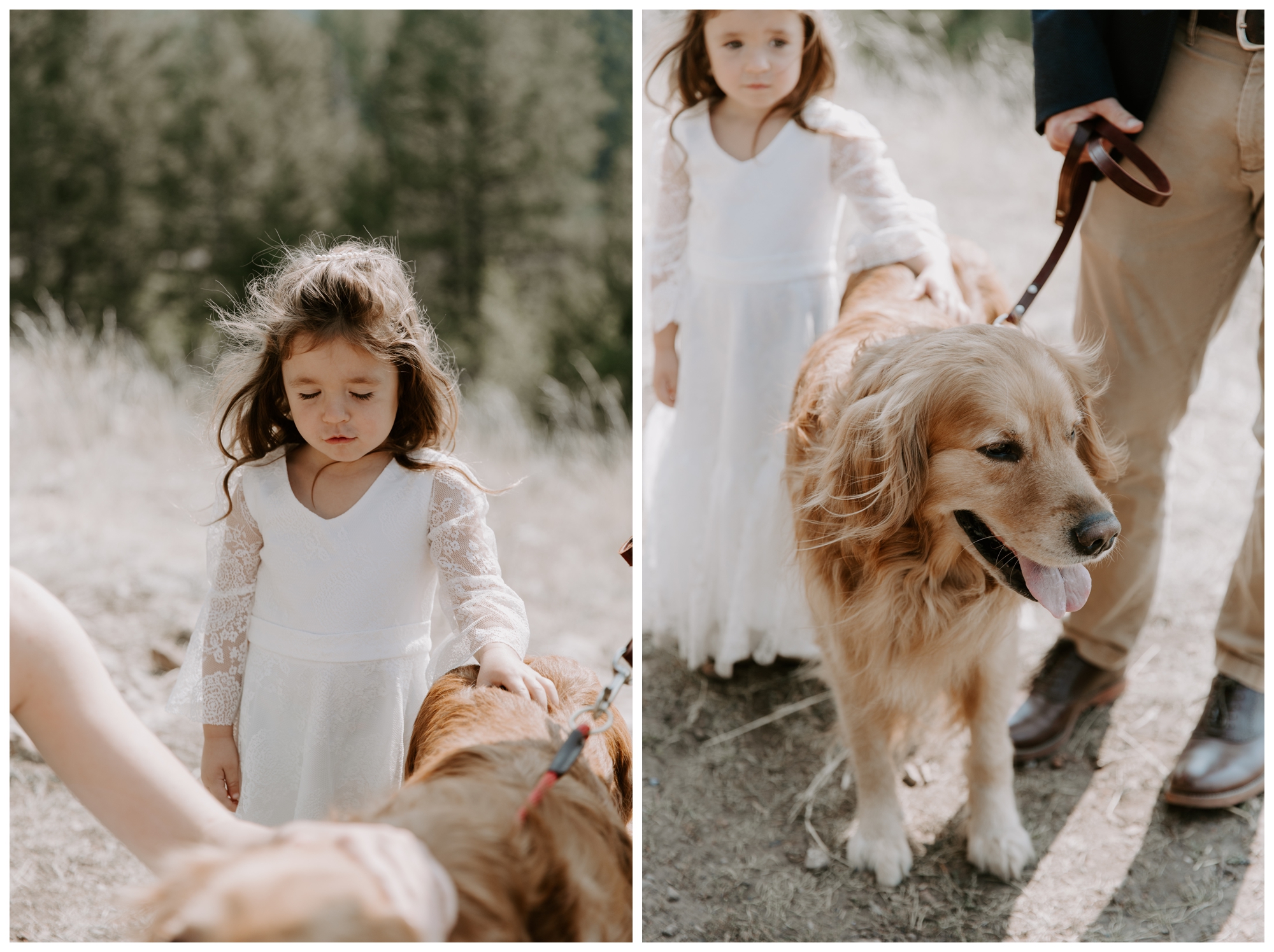 The Wedding Tree; Bridger-Teton National Forest; Grand Teton elopement locations