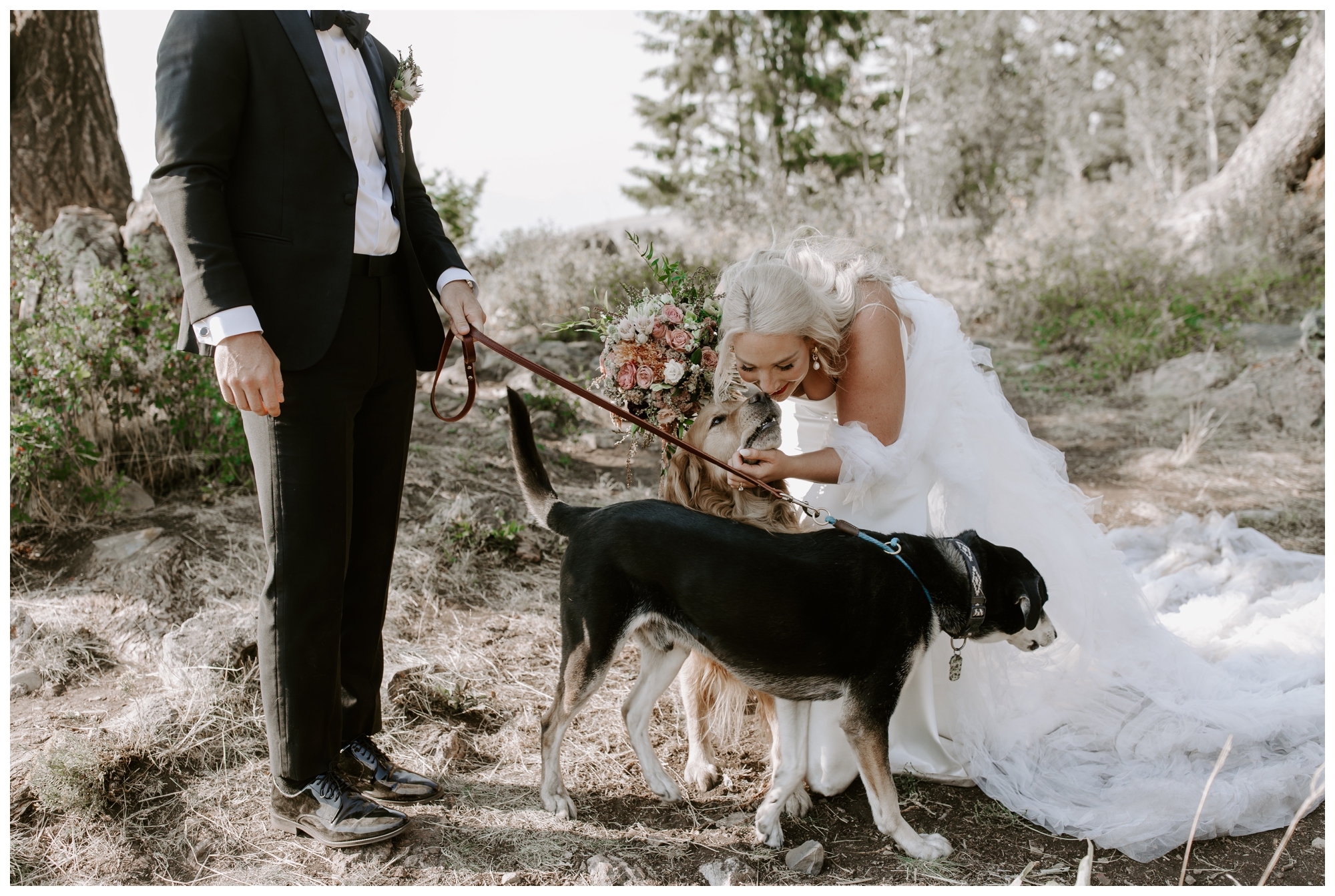 mountain wedding portraits; Grand Tetons; Wedding Tree; Jackson Hole, WY