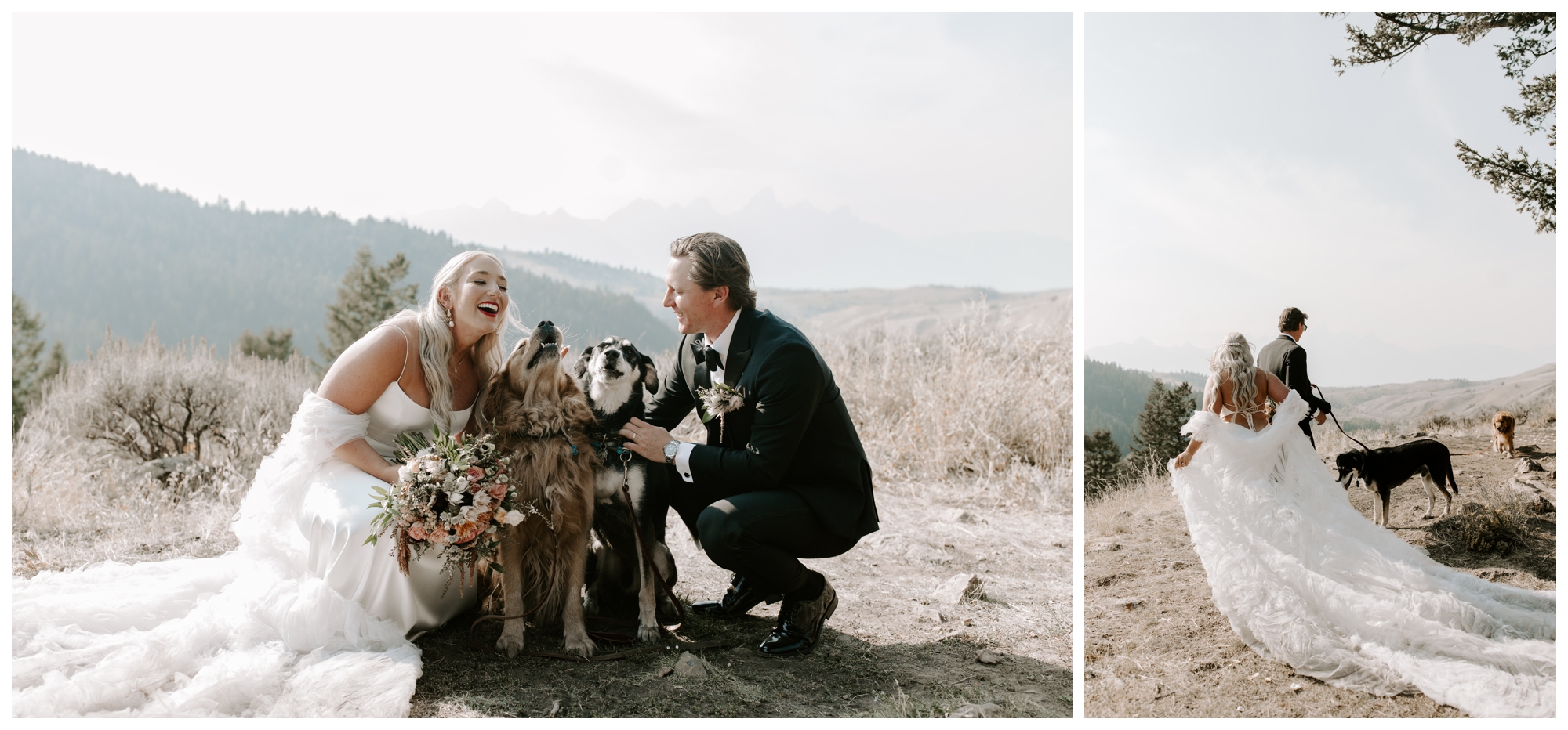 mountain wedding portraits; Grand Tetons; Wedding Tree; Jackson Hole, WY