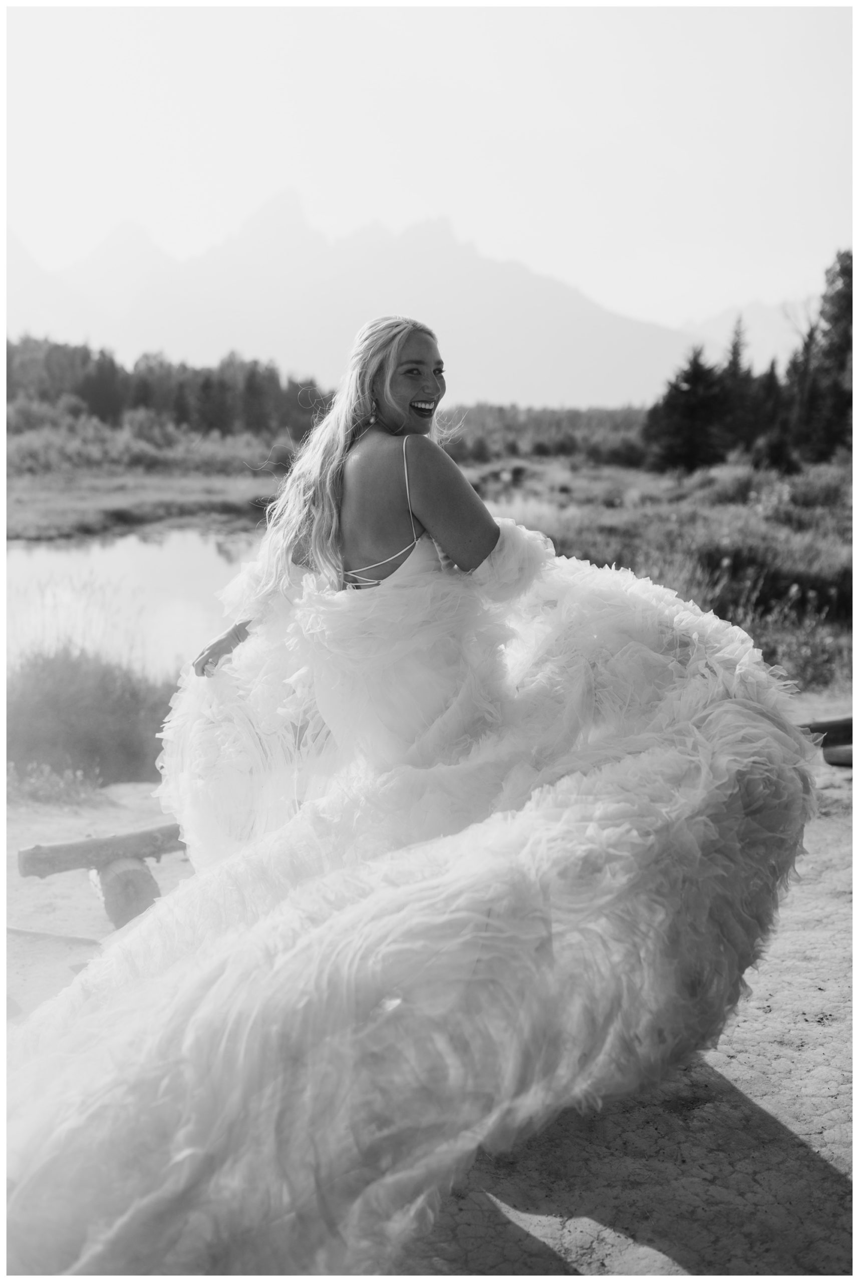 mountain wedding portraits; Grand Tetons; Wedding Tree; Jackson Hole, WY